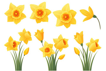 Vibrant Daffodil Bouquet: A Bright and Colorful Springtime Gift of Yellow Flowers Blooming in a Green Garden