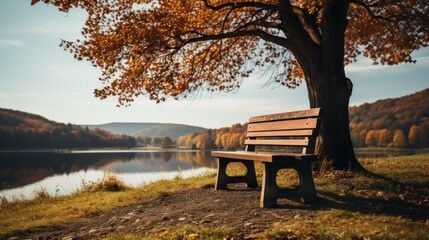 Autumn landscape with bench and trees UHD Wallpaper