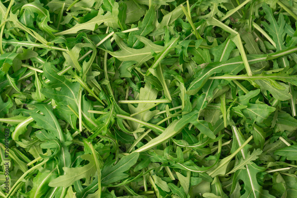 Wall mural Fresh leaves of arugula as a background.