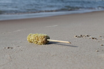 Corndog on the shore of Baltic Sea