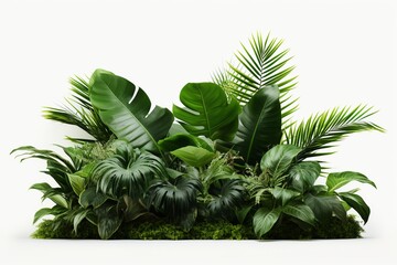 Fototapeta premium Immerse yourself in the allure of lush tropical foliage with this captivating PNG graphic. 