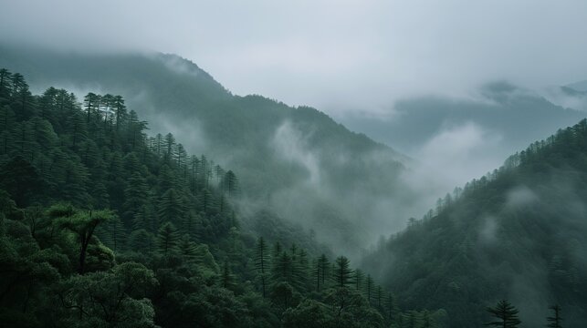 Misty morning in the mountains with green asian trees, wallpaper background © Matt