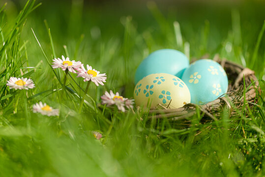 Colorful Easter nest in the grass