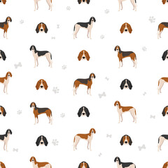 Obraz premium Poitevin Hound seamless pattern. All coat colors set. All dog breeds characteristics infographic