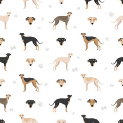 Polish Greyhound seamless pattern. All coat colors set