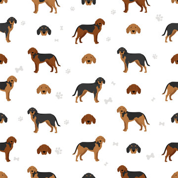 Polish Hound seamless pattern. All coat colors set
