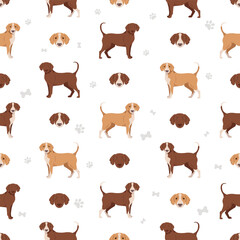 Posavac Hound seamless pattern. All coat colors set.  All dog breeds characteristics infographic