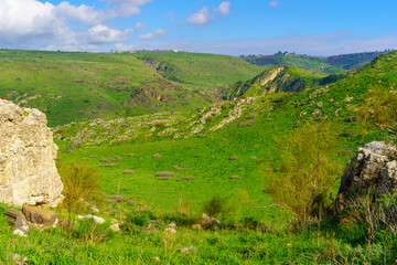 Fototapeta na wymiar Landscape of the southern part of the Golan Heights