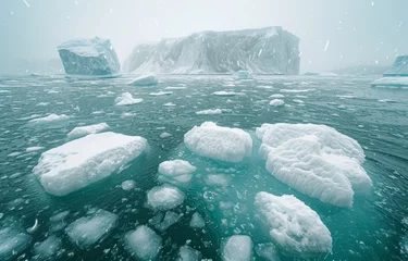  Ice floes in the arctic ocean, glaciers and icebergs image © Ingenious Buddy 