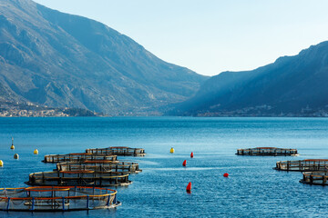 Fish farm cages in a serene sea with mountain backdrop, suitable for travel and nature themes.