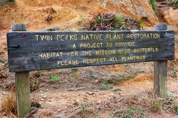San Francisco, California: sign of Twin Peaks native plant restoration, a project to provide habitat for the Mission Blue Butterfly - 724027308