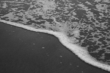 Sea fragments on sand