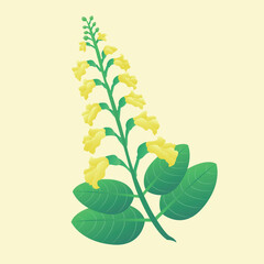Myanmar splashing water traditional yellow flower illustration vector