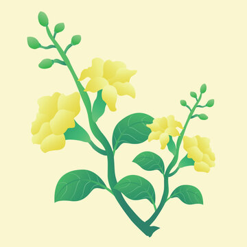Myanmar splashing water traditional yellow flower illustration vector