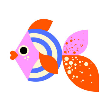 poisson g&eacute;om&eacute;trique color&eacute;