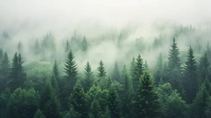 Fotobehang fog in the mountains, generative ai © Saleem