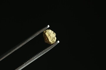 Tweezers with gold nugget against black background, closeup. Space for text