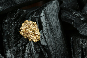 Shiny gold nugget on coal, closeup. Space for text