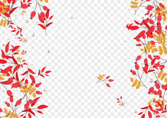 Yellow Herb Background Transparent Vector. Leaves Label Design. Red Berries Decoration. School Set. Leaf Cartoon.