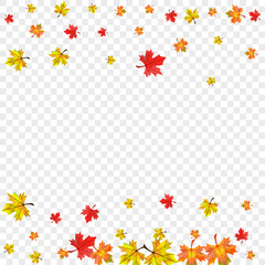 Green Floral Background Transparent Vector. Leaves October Texture. Red Nature Leaf. Bright Plant Design.