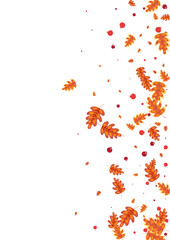 Golden Leaves Background White Vector. Oak Border Frame. Brown Leaf. Decor Illustration. Yellow Acorn Natural.