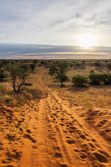 weite afrikanische Landschaft mit Sandweg, Sonnenuntergang im Hintergrund, Kalahari