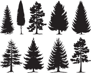Set Trees. Hand drawn vector illustration	