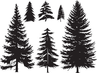Fototapeta premium Set Trees. Hand drawn vector illustration 