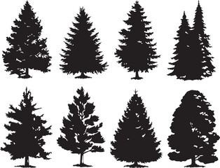 Obraz premium Set Trees. Hand drawn vector illustration 