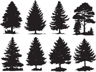 Obraz premium Set Trees. Hand drawn vector illustration 