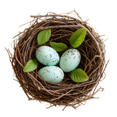Naklejka na ściany i meble Robin's nest with eggs isolated on white background, simple style, png 