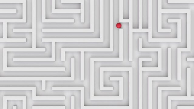 Ball going through the maze top view. Geometric labyrinth concept idea. Escape from maze.