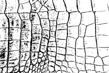 Rustic grunge vector texture with grain and stains. Abstract noise background. Weathered surface. Dirty and damaged. Detailed rough backdrop. Vector graphic illustration with transparent white. EPS10.