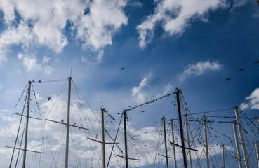 lines on the sky