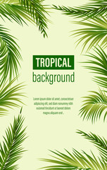 Palm tree banner in realistic style