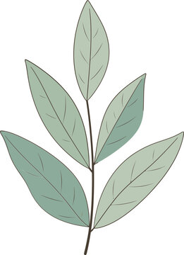 Leaf Vector Artistry Techniques for Stunning DesignsFrom Sketch to Screen Leaf Vector Illustration Process