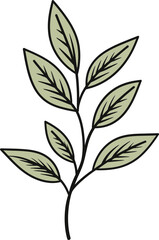 Crafting Botanical Beauty Leaf Vector MasteryThe Art of Leaf Vector Illustration A Comprehensive Approach