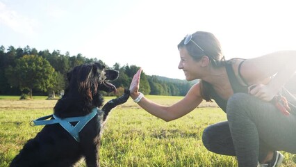 SLOW MOTION: Attractive young woman smiling while enjoying time outdoors with her pet dog. Positive dog training fun trick. Owner high five with dog paw. Lens flare low angle