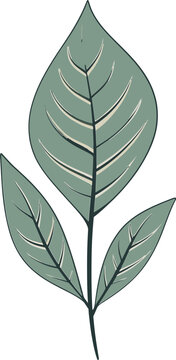 Botanical Wonders Captivating Leaf Vector ArtFloral Fantasy Whimsical Leaf Vector Illustrations