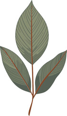 Enchanted Foliage Magical Leaf Vector IllustrationsDynamic Greens Energetic Leaf Vector Designs