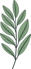 Leafy Flourish Detailed Leaf Vector IllustrationsWhimsical Botanicals Playful Leaf Vector Elements