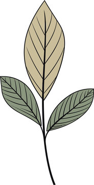 Organic Elegance Intricate Leaf Vector PatternsArtistic Verdure Expressive Leaf Vector Designs