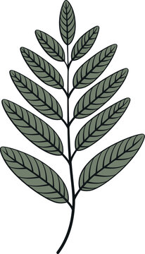Seasonal Transitions Dynamic Leaf Vector SketchesAbstract Botanicals Geometric Leaf Vector Artistry