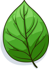 Mystical Flora Enigmatic Leaf Vector ArtistryOrganic Harmony Natural Leaf Vector Interpretations