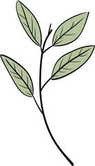 Digital Botany Futuristic Leaf Vector RenderingsMystical Flora Enigmatic Leaf Vector Depictions