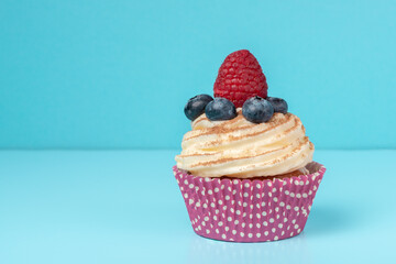 cupcake with whipped cream decorated chocolate powder, raspberry and blueberries on blue background
