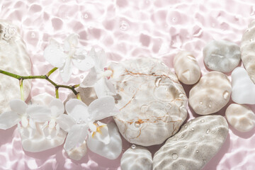 white orchid and stones with shadow on abstract pink background, in water, abstract spa background...