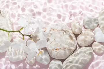 Fototapeten white orchid and stones with shadow on abstract pink background, in water, abstract spa background concept banner for cosmetic body care product © Alisa