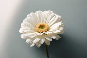 Photo of lush white flower close up - Powered by Adobe