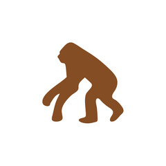 Human evolution silhouette